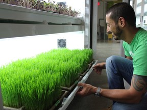 urban cultivator