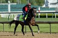 Derby hopeful Mubtaahij trains at Churchill Downs (Getty images)