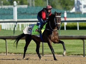 Derby hopeful Mubtaahij trains at Churchill Downs (Getty images)