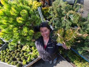 Rebecca van der Zalm with dwarf conifers