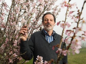 Doug Justice with cherry blossoms