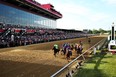 Preakness 139 field (Matthew Stockman - Getty Images)