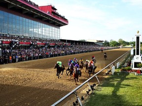 Preakness 139 field (Matthew Stockman - Getty Images)