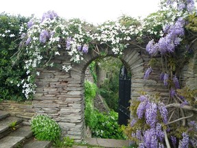 One of the glorious West Country gardens on my radar for 2016