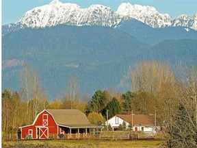 The province is expanding the uses for land in the ALR.
Photograph by: Les Bazso , Vancouver Sun