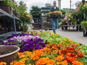 Garden centres are doing roaring business because of excellent weather.