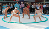 The Bachelor contestants took part in a sumo wrestling competition Monday night.
