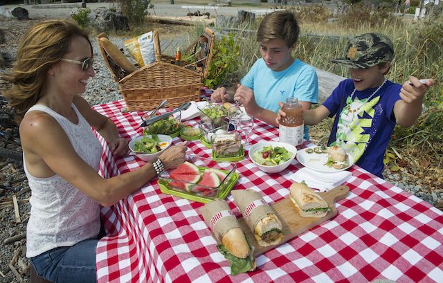 The Art Of Picnics; Recipes For Picnics 