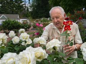 George Mander in Centennial Rose Garden in Coquitlam
