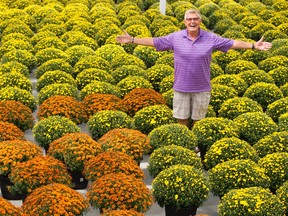 Jack Benne with chrysanthemums in Bevo greenhouses