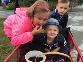 Grandchildren Maya, Banks and Jake at Krause Berry Farm in Langley