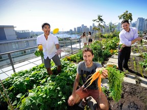 Matt Cooke, centre, Carlson Hui, left, and Jason Turcotte in the roof garden at James condo complex in Olympic Village, Vancouver