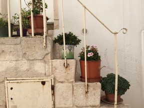 Plants on steps in Locorotondo, Puglia