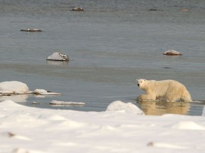 Some climatologists are now wondering: can religion connect the head to the heart where the message of science is failing?