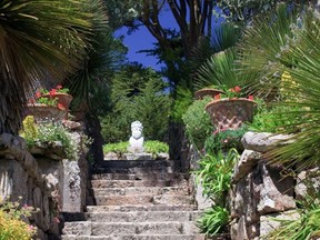 Tresco Abbey Garden, Scilly Isles.