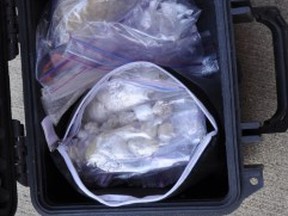 Drug seized in CFSEU investigation
