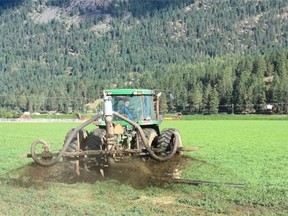 Agricultural spraying of manure effluent in the township of Spallumcheen near Armstrong, which is associated with contamination of the aquifer.