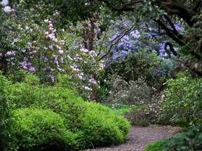 Asian garden at UBC Botanical Garden