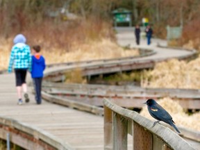 The city of Burnaby has asked that it be given control of Burnaby Lake once Metro’s lease runs out in 2020.