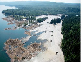 Damage that reached Quesnel Lake below the Mount Polley mine after the 2014 tailings dam collapse.