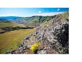 Despite public support, B.C.still Saying “No” to national park reserve in South Okanagan-Similkameen.