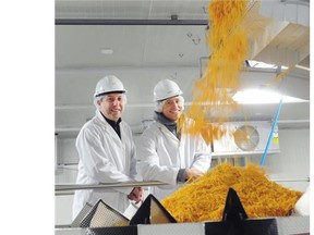 Greg Blake and Andre Kroecher, co founders of Daiya Foods, at a company plant in Vancouver. B.C.-based makers of plant-based dairy and meat alternatives are riding a wave of enthusiasm for their products, by a health- and environment-conscious consumer that has, by nearly every measure, graduated from fringe to mainstream.