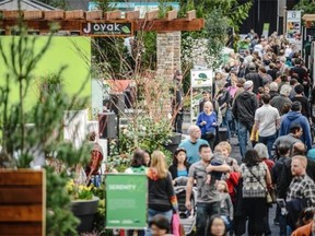 The B.C. Home + Garden Show is back for it's 45th year, drawing crowds of over 50,000 and involving more than 425 exhibitors.