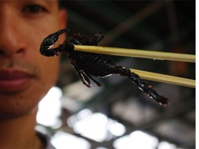 Insects are a normal part of the human diet in many parts of the world, especially Southeast Asia where they are part of traditional dishes and served as salty snacks in bars.