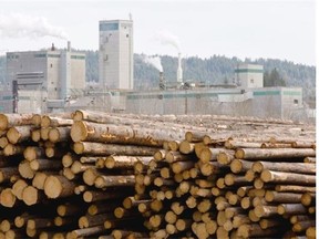 Logs piled up at West Fraser Timber in Quesnel. There is a side deal to the Trans-Pacific Partnership dealing with raw log exports to Japan from B.C.