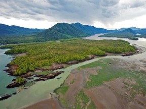 Looking across Flora Bank at low tide to the Pacific Northwest LNG site on Lelu Island, in the Skeena River Estuary near Prince Rupert. First Nation leaders in B.C. have made a direct appeal to Prime Minister Justin Trudeau to stop a major liquefied natural gas project from being built adjacent to juvenile salmon-rearing habitat.