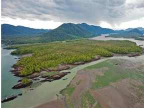 Looking across Flora Bank at low tide to the Pacific NorthWest LNG site on Lelu Island, in the Skeena River estuary near Prince Rupert.