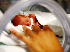 Morphine is often prescribed to early pre-term babies for the pain of breathing with a ventilator.
