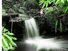 Natalie Coate's photograph The little waterfall is part of the exhibition featuring works by Surrey Photography Club, at Surrey Art Gallery.