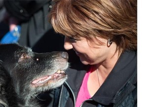 B.C. Premier Christy Clark pets a dog after an announcement about the protection of pets, at the B.C. SPCA in Vancouver, B.C., on Monday February 22, 2016. British Columbia expects to pass legislation next year that will include codes of practice for dog breeders and kennel and cattery operators. The province will also consult this spring on licensing to operate as a breeder.