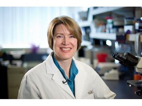 In an emotional speech at the announcement of the trials Wednesday, Marianne Sadar, who has worked tirelessly on the research for nearly two decades, praised her collaborator, University of B.C. chemistry professor Raymond Andersen, for helping her identify anti-tumour properties in the Geodia lindgreni sponge to then isolate, reproduce and synthesize into a drug.