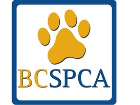 BC SPCA logo. The B.C. SPCA has seized 70 animals from a breeding and boarding facility in Surrey.