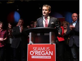 Seamus O'Regan, flanked by supporters, makes his acceptance speech on election night last year.