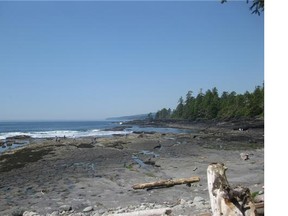 A file photo of Botanical Beach near Port Renfrew, Vancouver Island, where a second human foot was found on February 12, in the same area of beach as a foot found on February 7. The B.C. Coroners Service confirmed the feet are from the same person.