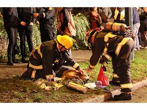A dog that was trapped in a Vancouver house fire is alive thanks to the efforts of Vancouver firefighters who rescued it and then gave it oxygen.