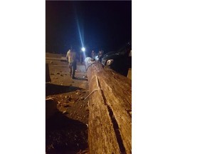 Eight people were sent to hospital after a massive tree crashed down on the Sea to Sky Highway early Wednesday evening.