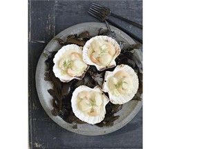 Recipe for Noix de Coquilles Saint Jacques au Vermouth (Scallops in Vermouth).