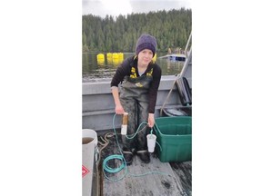 Research assistant  Allie Byrne from North Island College prepares to install lines seeded with baby kelp at a fish farm near Tofino.