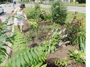 Soil plays an important role in managing rainwater run-off and water purification, as well as preventing erosion and storing carbon.