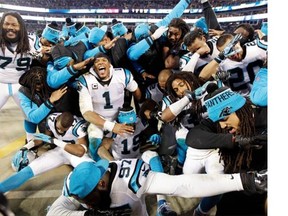 Some Carolina Panthers celebrate from the bench during the second half the NFL football NFC Championship game against the Arizona Cardinals, Sunday, Jan. 24, 2016, in Charlotte, N.C.