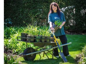 Pam Erickson of Erikson’s Daylilies in Langley, will talk about hostas at 2016’s BC Home + Garden Show Vancouver Sun Gardener’s School.