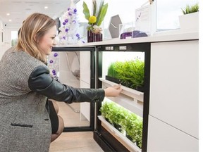 The TELUS Future Home includes an Urban Cultivator for growing herbs and greens in the kitchen.