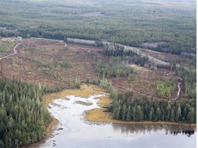 Three companies, one owned by Haida, have each been found guilty of 20 counts of damaging fish habitat in the Mallard Creek area on Graham Island.
