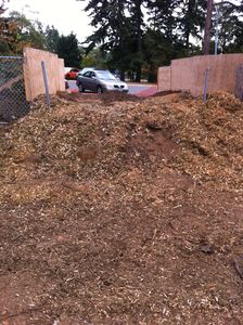 A short stretch of road, covered with wood chips, which needed a $1,200 engineering report.