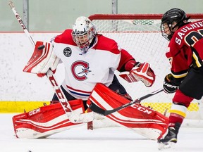 Charline Labonte makes a save for Montreal Les Canadiennes of the Canadian Women's Hockey League.