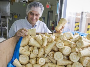 Kirk Homenick, president of Naturally Homegrown Foods Ltd., inspects some parsnips at the company's plant in Maple Ridge.